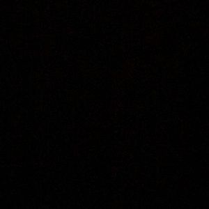 Meet your Posher, Terrell